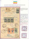 081rid.jpg (378591 byte)