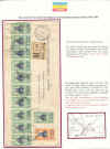 087rid.jpg (335875 byte)