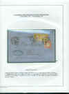 112rid.jpg (230230 byte)