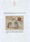 Illus36r.jpg (202435 byte)