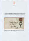 Illus55r.jpg (185281 byte)