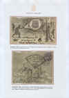 Illus71r.jpg (260376 byte)