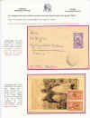Ridimensiona di115.jpg (139100 byte)