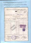 Pagina 7.jpg (269382 byte)