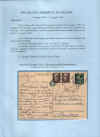 immagine 85.jpg (257447 byte)