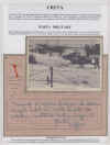 grecia88.jpg (199003 byte)