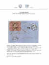 Carra - The Postal rates in Venetia_Pagina_018.jpg (94235 byte)