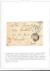 colla38.jpg (153433 byte)