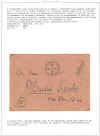 colla49.jpg (194710 byte)