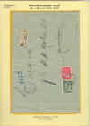 aoi33.jpg (209577 byte)