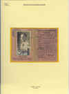 aoi87.jpg (176219 byte)