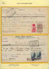 aoi93.jpg (281935 byte)