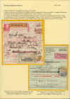 assegno14.jpg (305530 byte)