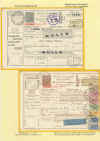 Foglio 090.jpg (330617 byte)