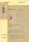 Foglio 093.jpg (301015 byte)