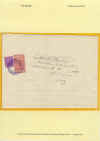 Foglio 101.jpg (168534 byte)