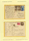 Foglio 111.jpg (246289 byte)