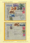 Foglio 120.jpg (286847 byte)