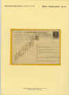 zara29.jpg (163233 byte)