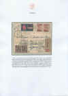 landini87.jpg (166713 byte)