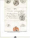nuovo-17r.jpg (189817 byte)